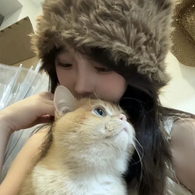 大鸟和小鸟